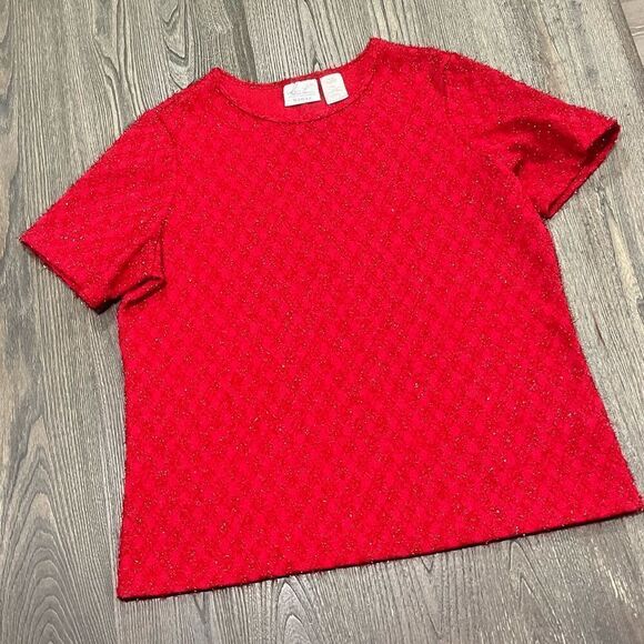 Kathie Lee Collection Top Short Sleeve Crewneck Textured Red Size 18W/20W - Picture 1 of 3